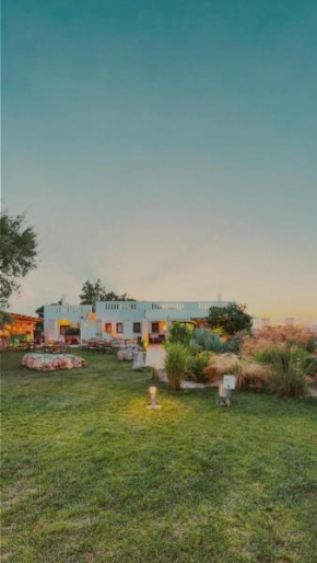 Oppure - Masseria Moderna